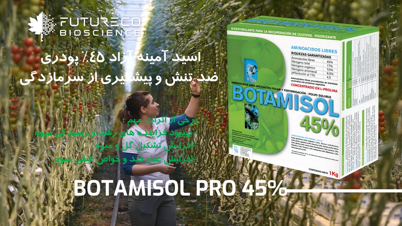 اسلایدر 4