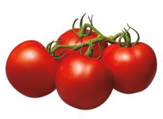 توصیه کودی گوجه